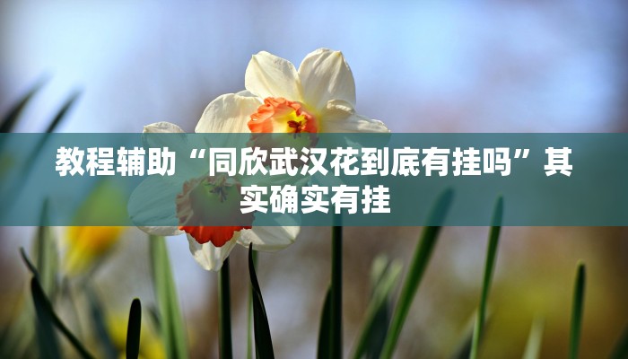 教程辅助“同欣武汉花到底有挂吗”其实确实有挂 教程辅助“同欣武汉花到底有挂吗”其实确实有挂