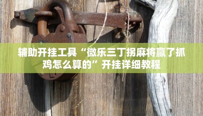 分享实测“财神十三张开挂的软件”(原来确实是有挂) 分享实测“财神十三张开挂的软件”(原来确实是有挂)