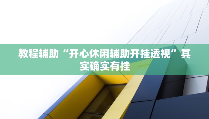 教程辅助“开心休闲辅助开挂透视”其实确实有挂