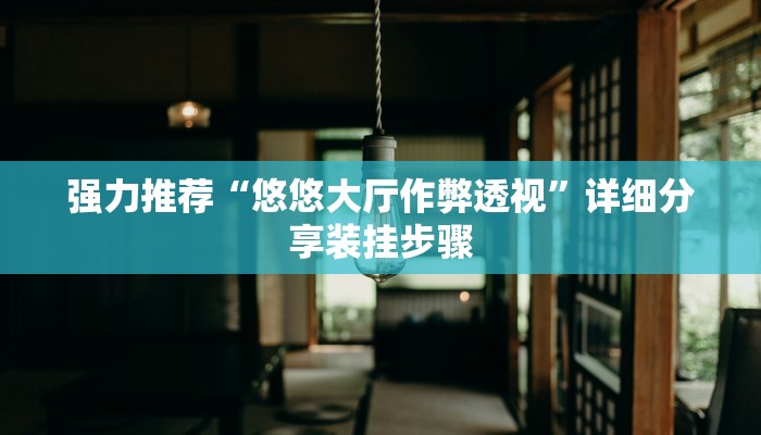 强力推荐“悠悠大厅作弊透视”详细分享装挂步骤