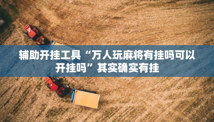 辅助开挂工具“万人玩麻将有挂吗可以开挂吗”其实确实有挂