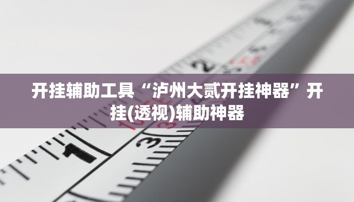 开挂辅助工具“泸州大贰开挂神器”开挂(透视)辅助神器