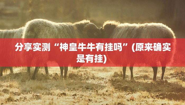 分享实测“神皇牛牛有挂吗”(原来确实是有挂) 