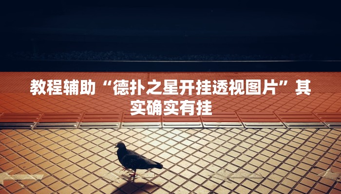 教程辅助“德扑之星开挂透视图片”其实确实有挂