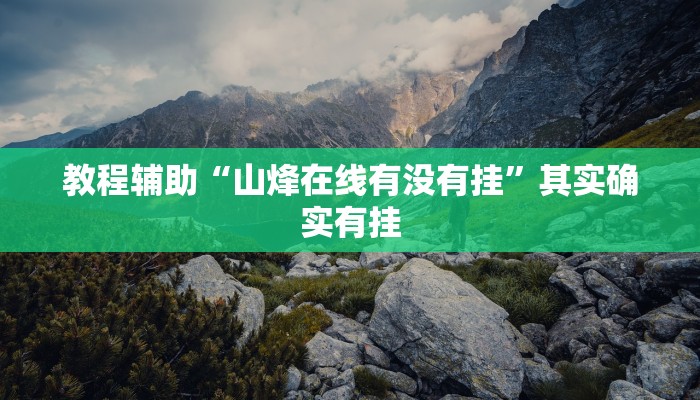 教程辅助“山烽在线有没有挂”其实确实有挂