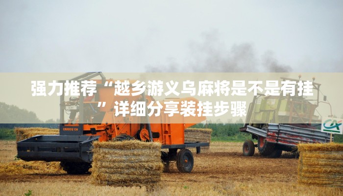 分享实测“中至乐平麻将是怎么开挂的”(原来确实是有挂) 