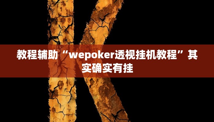 教程辅助“wepoker透视挂机教程”其实确实有挂