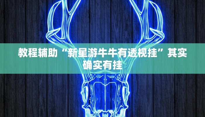 教程辅助“新星游牛牛有透视挂”其实确实有挂