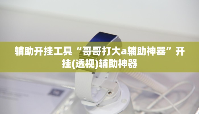 辅助开挂工具“哥哥打大a辅助神器”开挂(透视)辅助神器