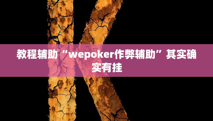 教程辅助“wepoker作弊辅助”其实确实有挂
