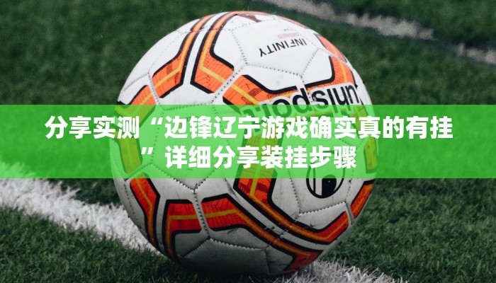 分享实测“边锋辽宁游戏确实真的有挂”详细分享装挂步骤