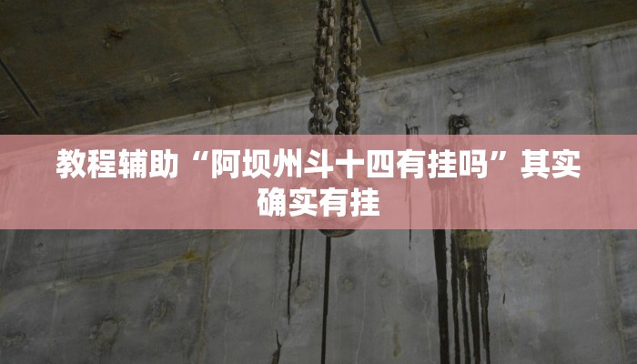 教程辅助“阿坝州斗十四有挂吗”其实确实有挂