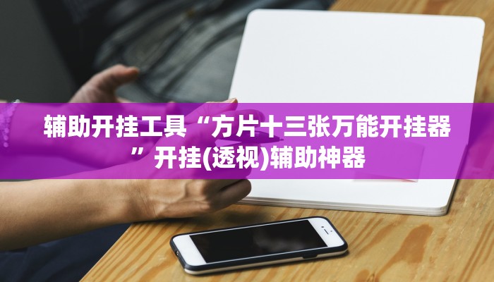 辅助开挂工具“方片十三张万能开挂器”开挂(透视)辅助神器