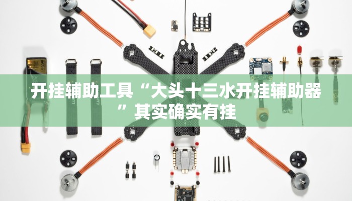 开挂辅助工具“大头十三水开挂辅助器”其实确实有挂 开挂辅助工具“大头十三水开挂辅助器”其实确实有挂