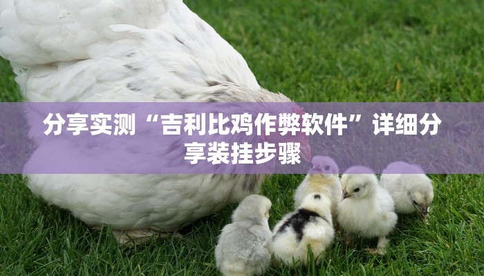 分享实测“吉利比鸡作弊软件”详细分享装挂步骤 分享实测“吉利比鸡作弊软件”详细分享装挂步骤