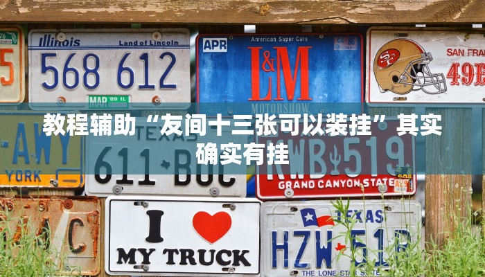 教程辅助“友间十三张可以装挂”其实确实有挂