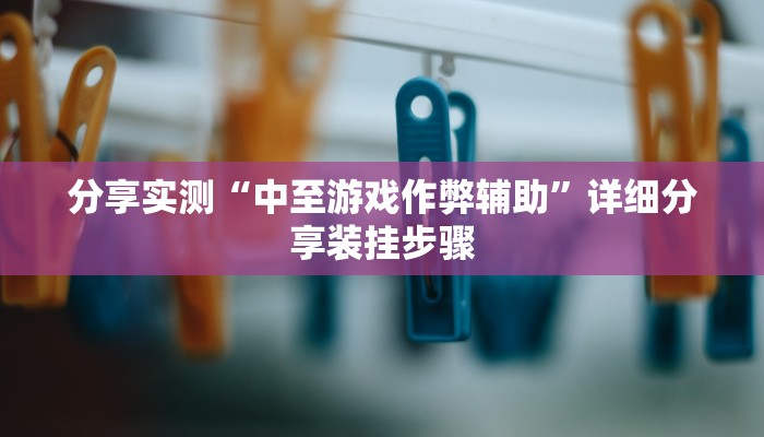 分享实测“中至游戏作弊辅助”详细分享装挂步骤