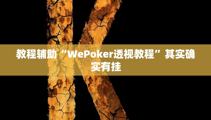 教程辅助“WePoker透视教程”其实确实有挂
