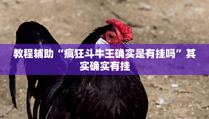 教程辅助“疯狂斗牛王确实是有挂吗”其实确实有挂 教程辅助“疯狂斗牛王确实是有挂吗”其实确实有挂