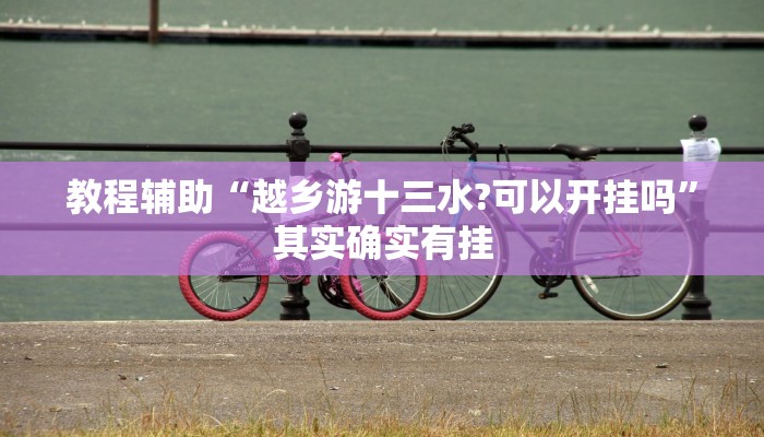 教程辅助“越乡游十三水?可以开挂吗”其实确实有挂