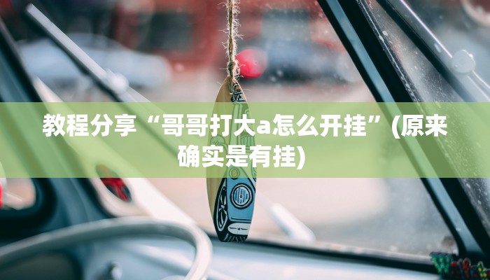 教程分享“哥哥打大a怎么开挂”(原来确实是有挂) 