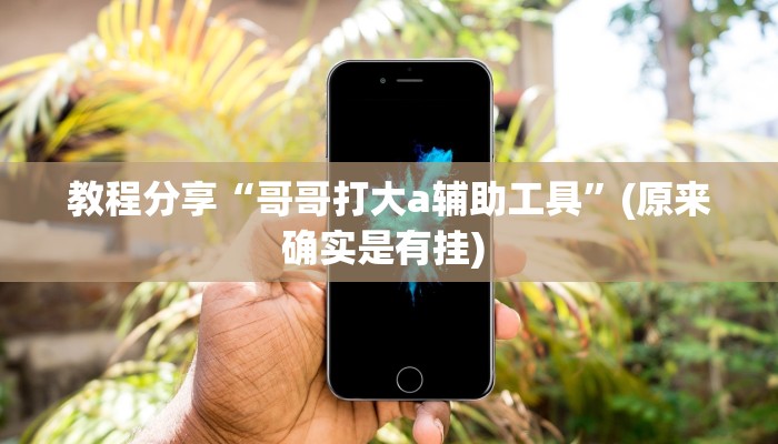 教程分享“哥哥打大a辅助工具”(原来确实是有挂) 