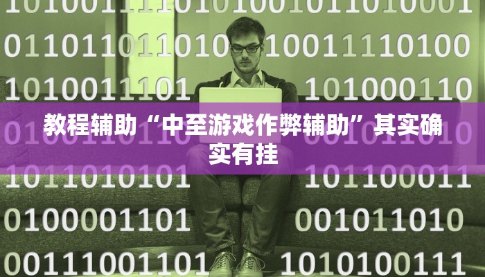 教程辅助“中至游戏作弊辅助”其实确实有挂