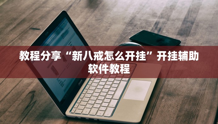 教程分享“新八戒怎么开挂”开挂辅助软件教程