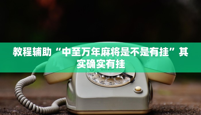 教程辅助“中至万年麻将是不是有挂”其实确实有挂