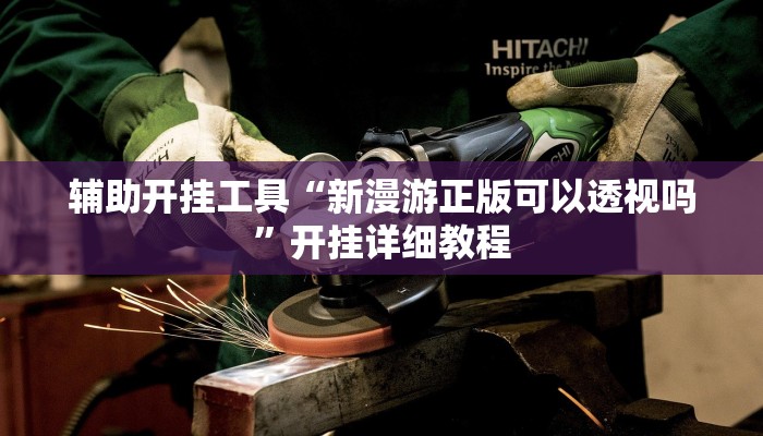 辅助开挂工具“新漫游正版可以透视吗”开挂详细教程