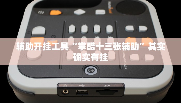 辅助开挂工具“掌酷十三张辅助”其实确实有挂 辅助开挂工具“掌酷十三张辅助”其实确实有挂