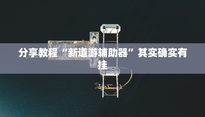 分享教程“新道游辅助器”其实确实有挂 分享教程“新道游辅助器”其实确实有挂
