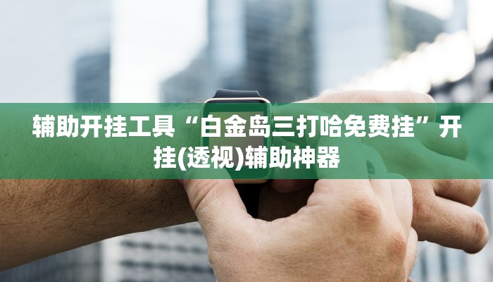 辅助开挂工具“白金岛三打哈免费挂”开挂(透视)辅助神器