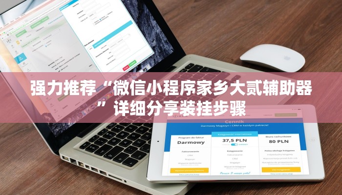 强力推荐“微信小程序家乡大贰辅助器”详细分享装挂步骤