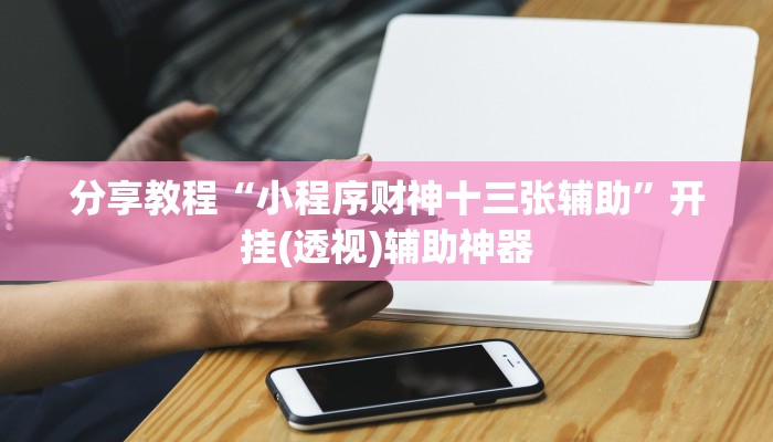 分享教程“小程序财神十三张辅助”开挂(透视)辅助神器