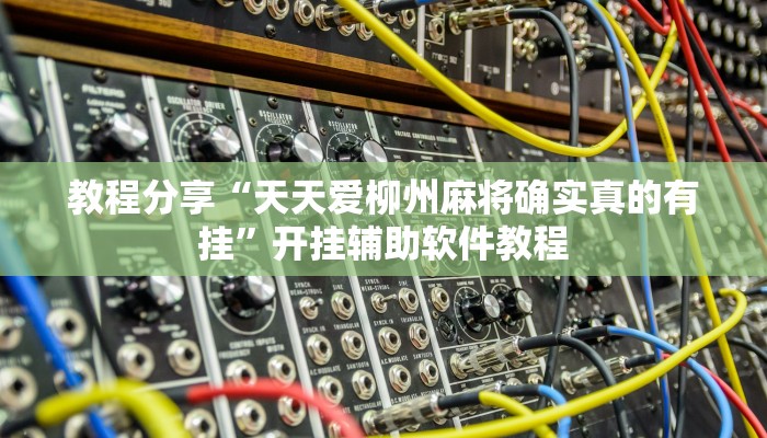 教程分享“天天爱柳州麻将确实真的有挂”开挂辅助软件教程 教程分享“天天爱柳州麻将确实真的有挂”开挂辅助软件教程