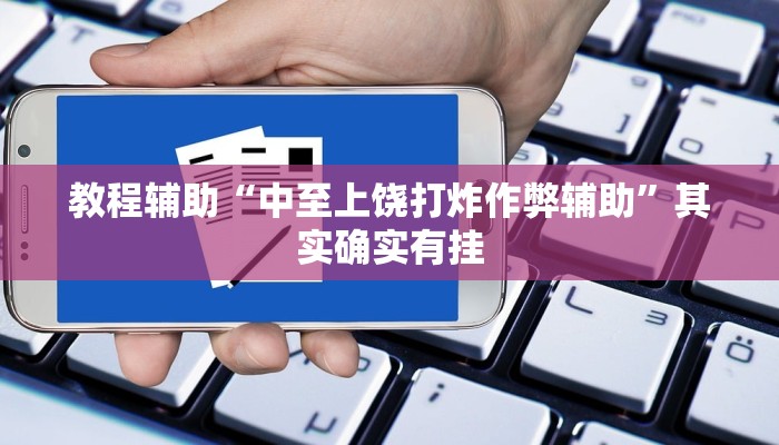 教程辅助“中至上饶打炸作弊辅助”其实确实有挂