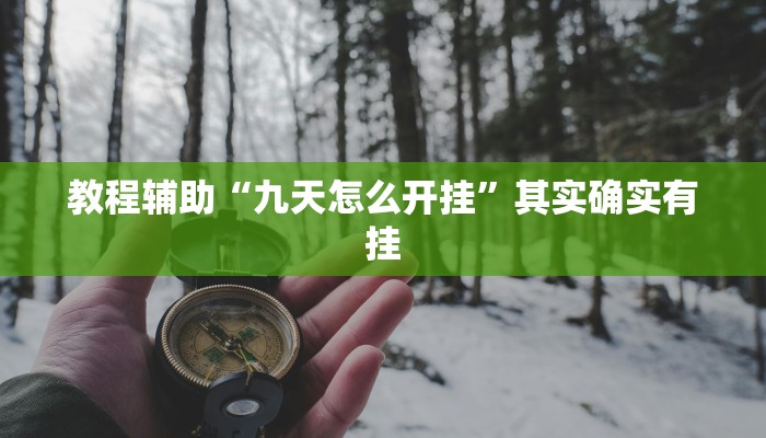 教程辅助“九天怎么开挂”其实确实有挂