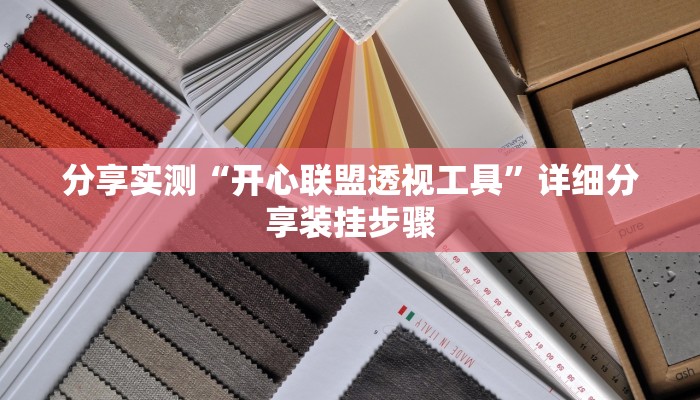 分享实测“开心联盟透视工具”详细分享装挂步骤