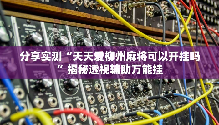 分享实测“天天爱柳州麻将可以开挂吗”揭秘透视辅助万能挂 分享实测“天天爱柳州麻将可以开挂吗”揭秘透视辅助万能挂