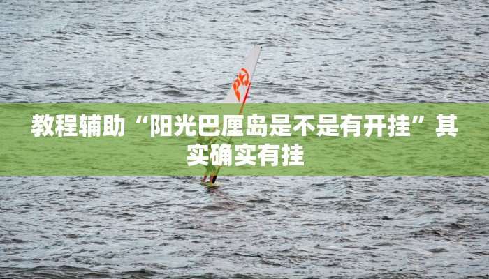教程辅助“阳光巴厘岛是不是有开挂”其实确实有挂
