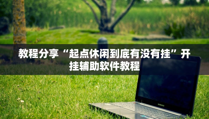 教程分享“起点休闲到底有没有挂”开挂辅助软件教程