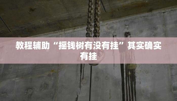 教程辅助“摇钱树有没有挂”其实确实有挂