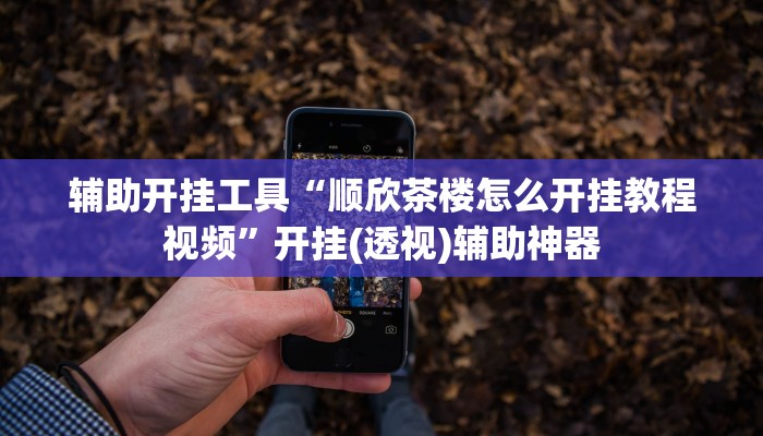 辅助开挂工具“顺欣茶楼怎么开挂教程视频”开挂(透视)辅助神器