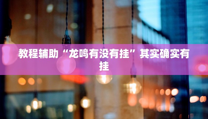 教程辅助“龙鸣有没有挂”其实确实有挂