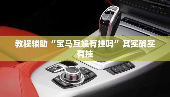 教程辅助“宝马互娱有挂吗”其实确实有挂