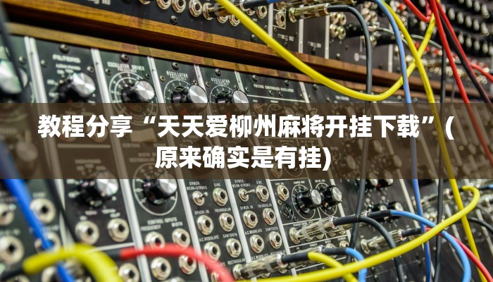 教程分享“天天爱柳州麻将开挂下载”(原来确实是有挂) 