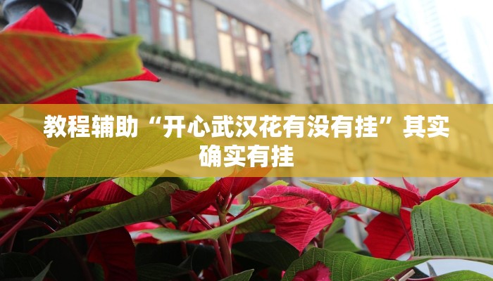 教程辅助“开心武汉花有没有挂”其实确实有挂 教程辅助“开心武汉花有没有挂”其实确实有挂