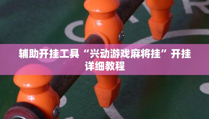 辅助开挂工具“兴动游戏麻将挂”开挂详细教程