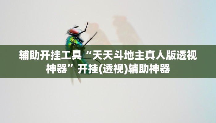 辅助开挂工具“天天斗地主真人版透视神器”开挂(透视)辅助神器